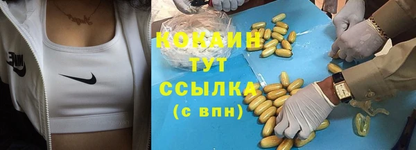 индика Бугульма